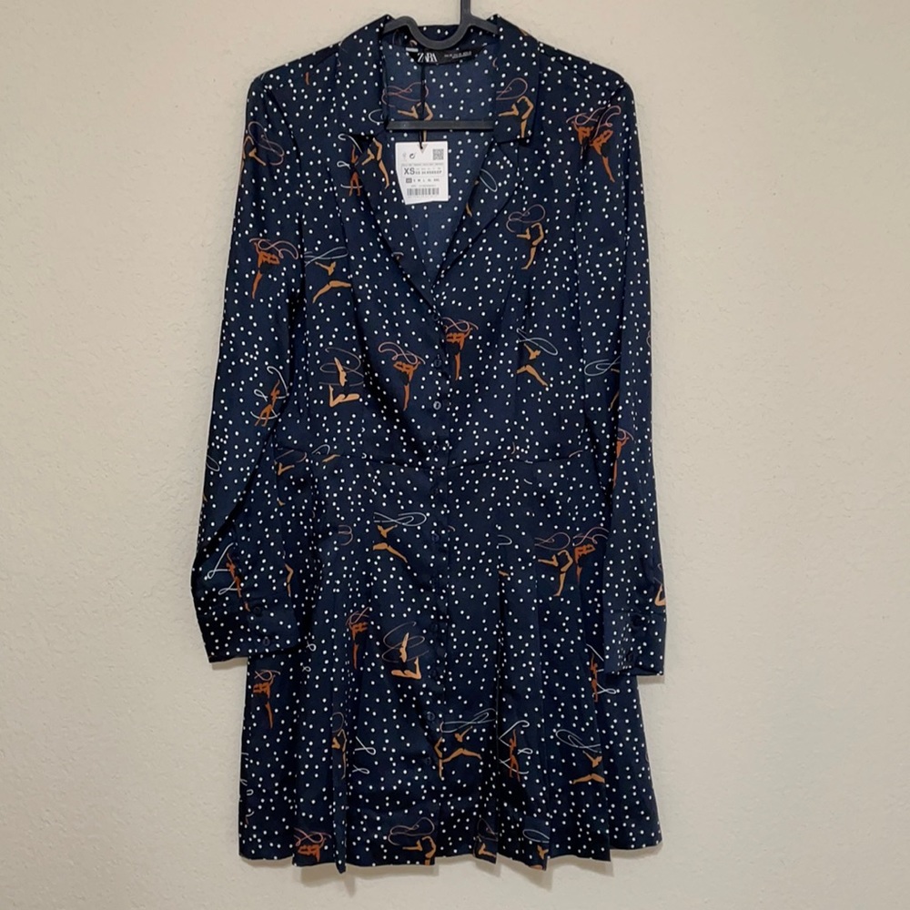 NWT Zara Ballerina Dress